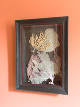 Load image into Gallery viewer, Vintage Coral Wall Art Sculpture