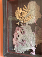 Load image into Gallery viewer, Vintage Coral Wall Art Sculpture
