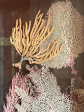 Load image into Gallery viewer, Vintage Coral Wall Art Sculpture