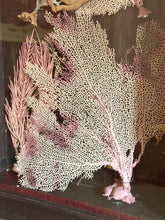Load image into Gallery viewer, Vintage Coral Wall Art Sculpture