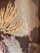 Load image into Gallery viewer, Vintage Coral Wall Art Sculpture