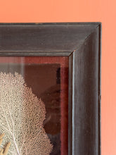 Load image into Gallery viewer, Vintage Coral Wall Art Sculpture