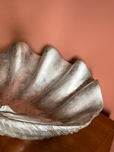 Load image into Gallery viewer, Large Silver Clam Shell