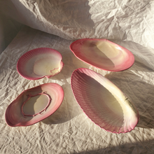 Load image into Gallery viewer, Antique Wedgewood Shell Plates
