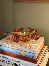 Load image into Gallery viewer, glass murano dish