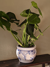 Load image into Gallery viewer, ceramic blue and white floral pot plant