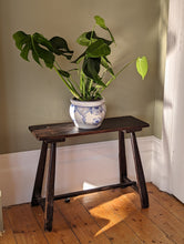 Load image into Gallery viewer, pot plant on bench