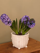 Load image into Gallery viewer, white plant pot