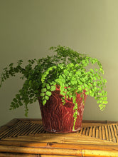 Load image into Gallery viewer, red ceramic majolica plant pot