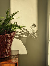 Load image into Gallery viewer, red ceramic majolica plant pot