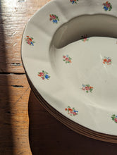 Load image into Gallery viewer, vintage french floral plates