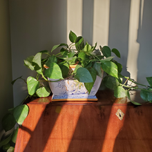 Load image into Gallery viewer, Italian planter pot