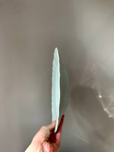 Load image into Gallery viewer, Set of Seven Pastel Green Scalloped Bowls