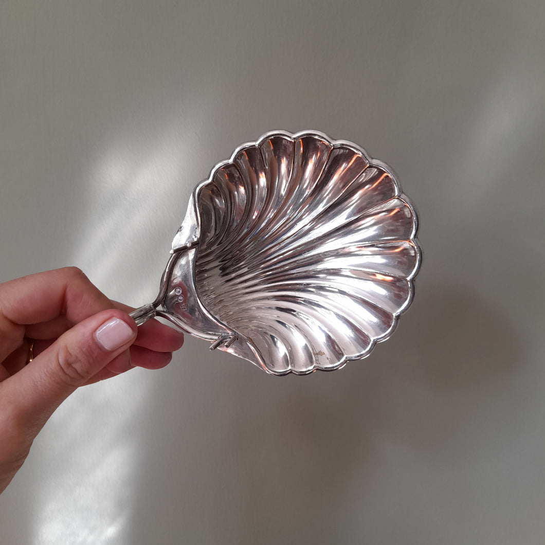 Silver Shell Dish