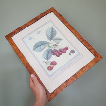 Load image into Gallery viewer, Cherry Sketch Drawing Print
