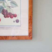 Load image into Gallery viewer, Cherry Sketch Drawing Print
