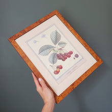 Load image into Gallery viewer, Cherry Sketch Drawing Print
