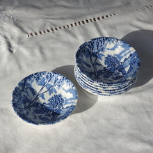Load image into Gallery viewer, Set Of Seven Blue Toile Plates
