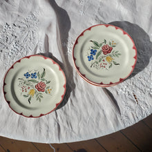 Load image into Gallery viewer, Set Of Seven French Hand-Painted Floral Plates
