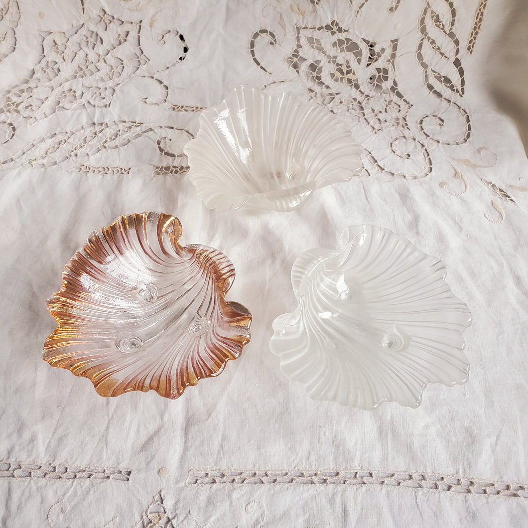 Glass shell dishes