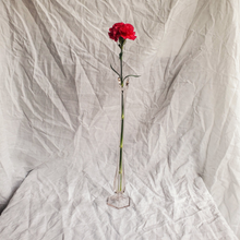 Load image into Gallery viewer, Single stem glass vase
