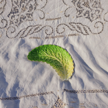Load image into Gallery viewer, Japanese cabbage leaf plate
