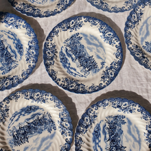 Load image into Gallery viewer, Toile plates
