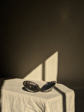 Load image into Gallery viewer, Clam Shell Butter Dish
