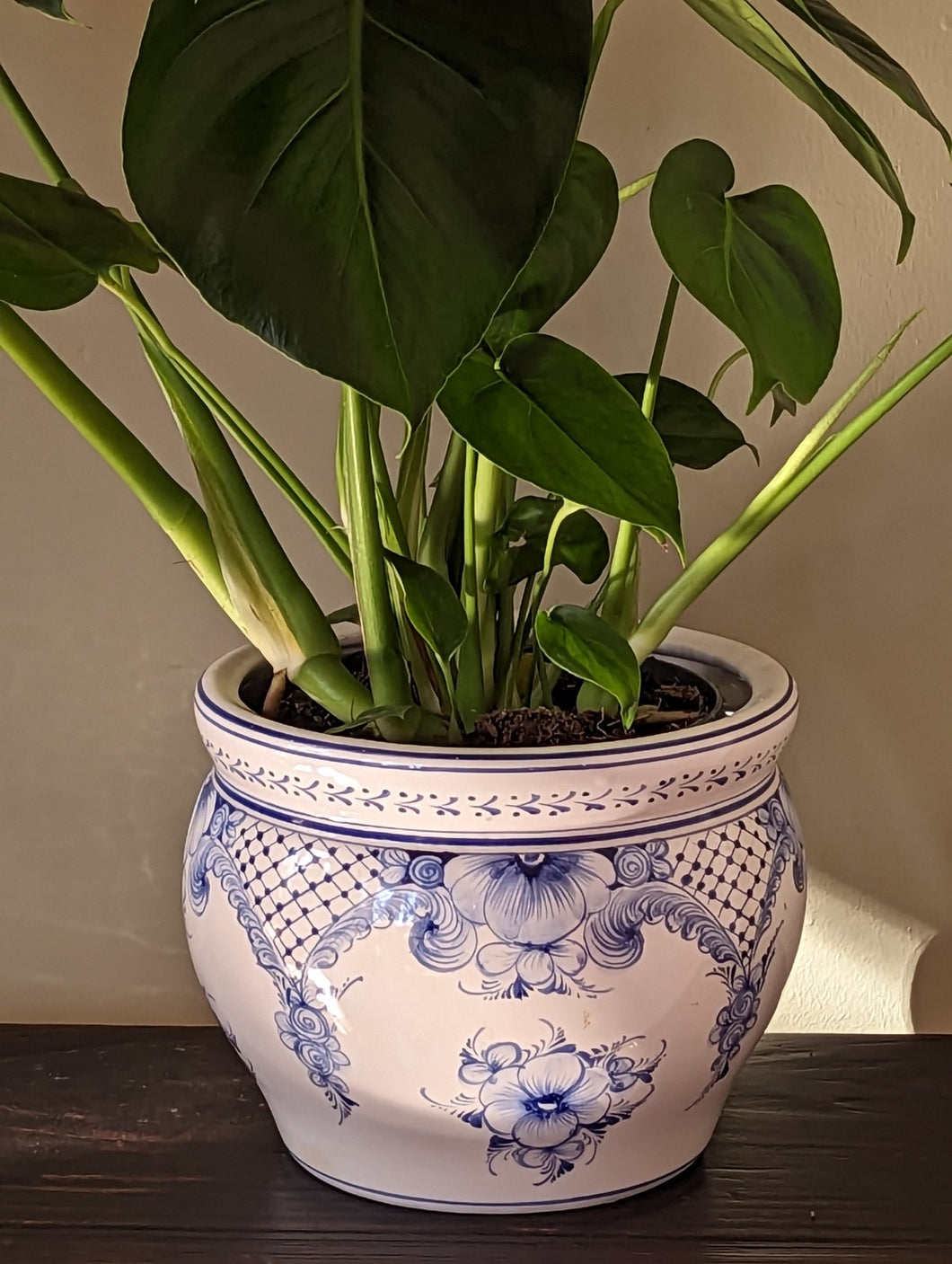 blue and white floral pot plant