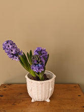 Load image into Gallery viewer, white plant pot

