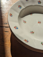 Load image into Gallery viewer, vintage french floral plates
