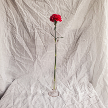 Load image into Gallery viewer, Single stem glass vase
