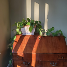 Load image into Gallery viewer, Italian planter pot
