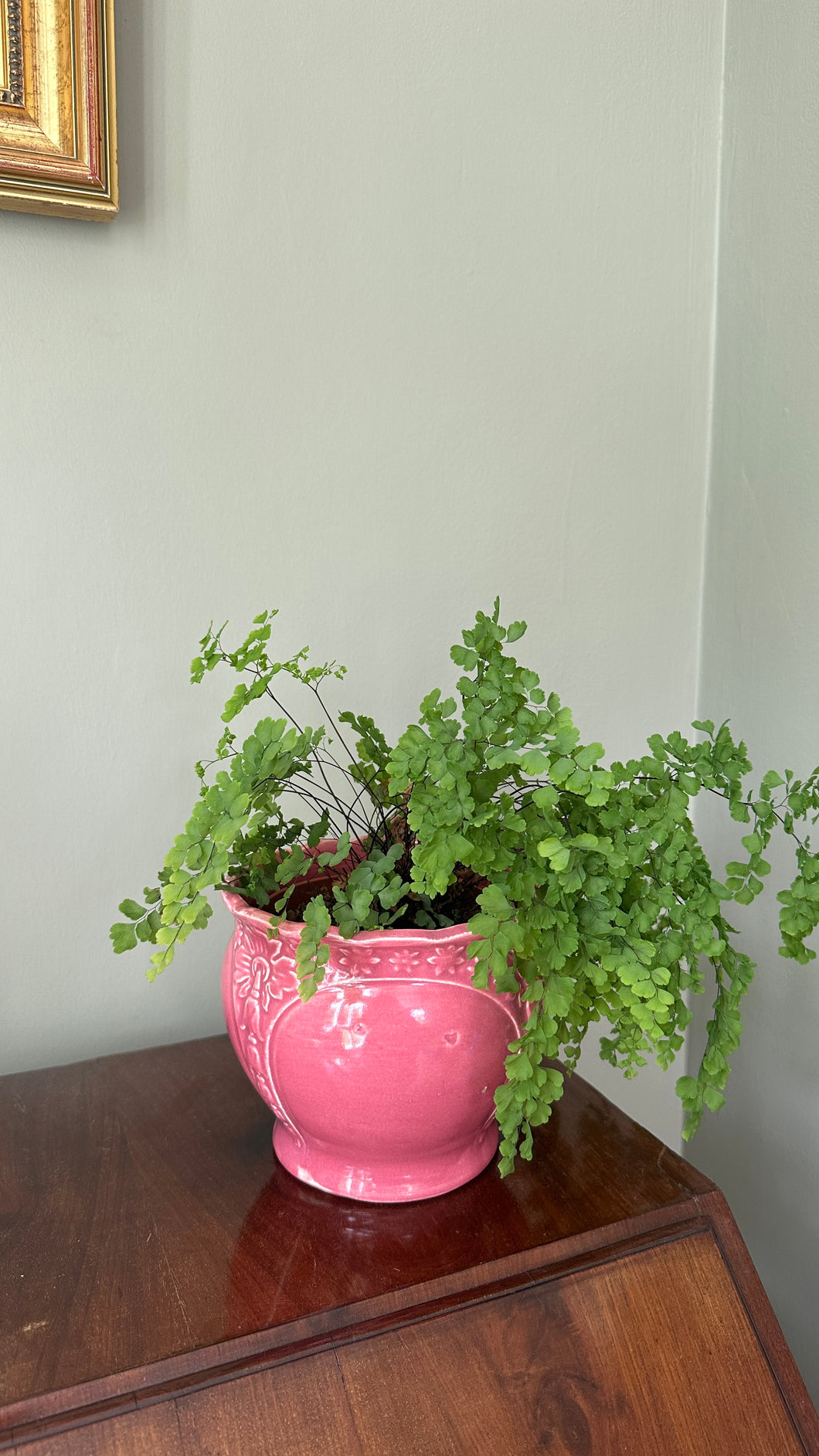 Small Pink Ceramic Plant Pot