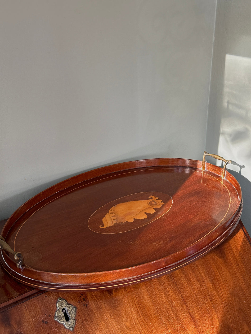 Edwardian Inlaid Mahogany Large Shell Tray