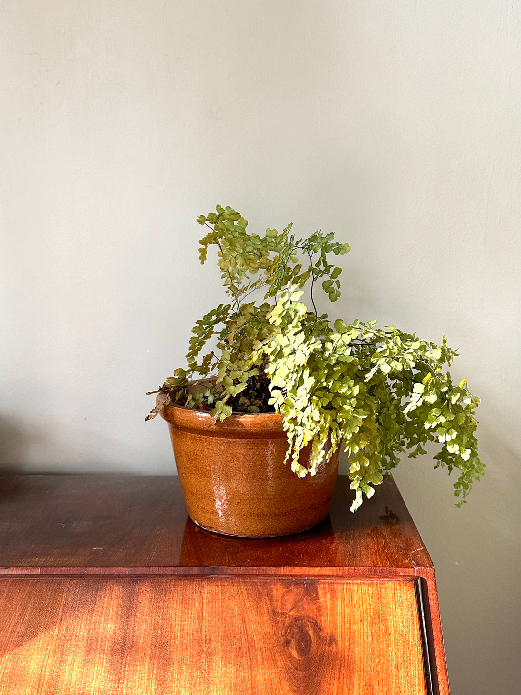 Mid Century Ceramic Brown Plant Pot